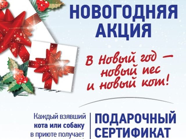 В Центре обращения с животными стартовала акция: "В Новый год - новый пес и новый кот"
