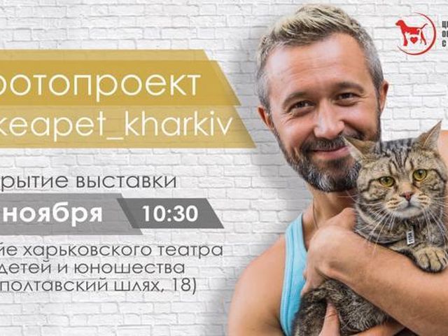 СОЦИАЛЬНЫЙ ПРОЕКТ В ПОДДЕРЖКУ БЕЗДОМНЫХ ЖИВОТНЫХ