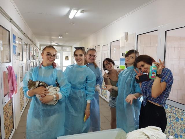 КП "Центр обращения с животными" проводит "банные дни" для приютских котиков