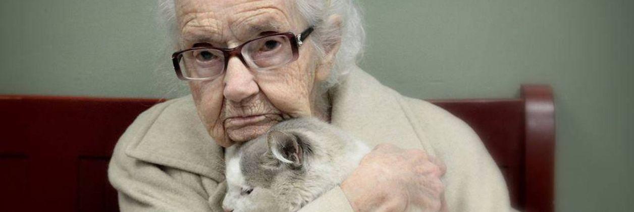 Льготная стерилизация/кастрация домашних животных в Харькове