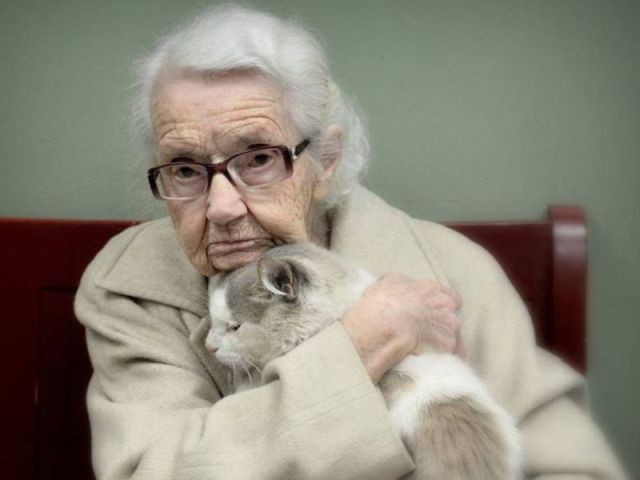 Ветеринарная клиника Центра обращения с животными приглашает малообеспеченных харьковчан провести стерилизацию или кастрацию питомца по льготной цене