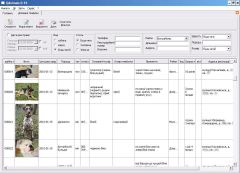 єдина електронна база непродуктивних тварин Харкова