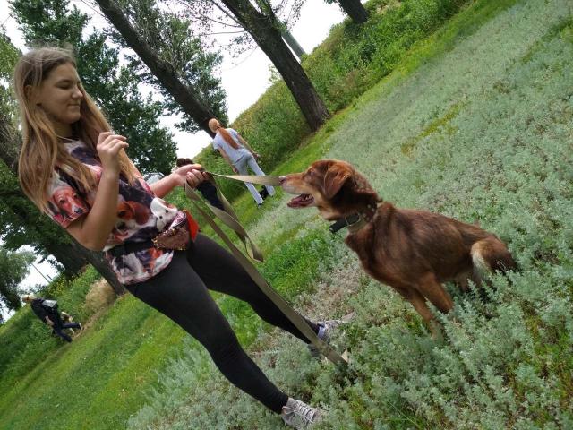 КП «Центр обращения с животными» провело «День открытых дверей» в новом формате