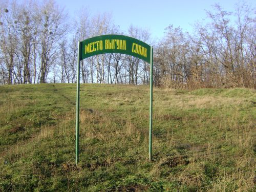 Площадки для выгула собак в Харькове