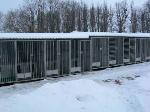 Харьковский приют для собак и кошек