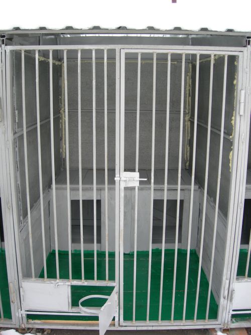 Харьковский приют для собак и кошек