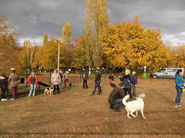 Узнай где: в Харькове открыли еще одну площадку для выгула собак