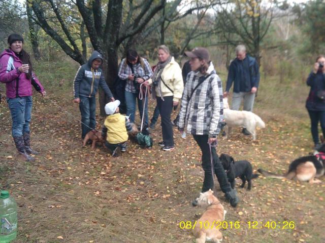 В поселке Жуковского прошел праздник  "Happy Dog"