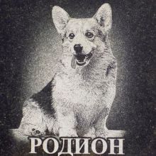 Кремація і кладовище домашніх тварин в Харкові