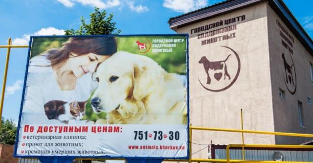 Харьковский приют нашел дом для 1700 животных и строит контакт-центр
