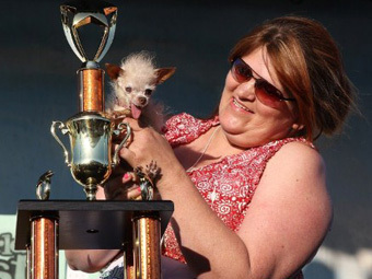 самая уродливая собака