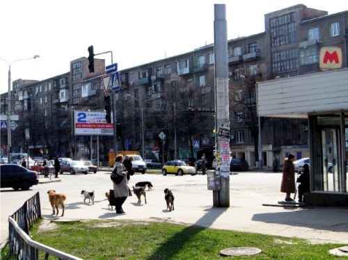 проявления болезни Лайма