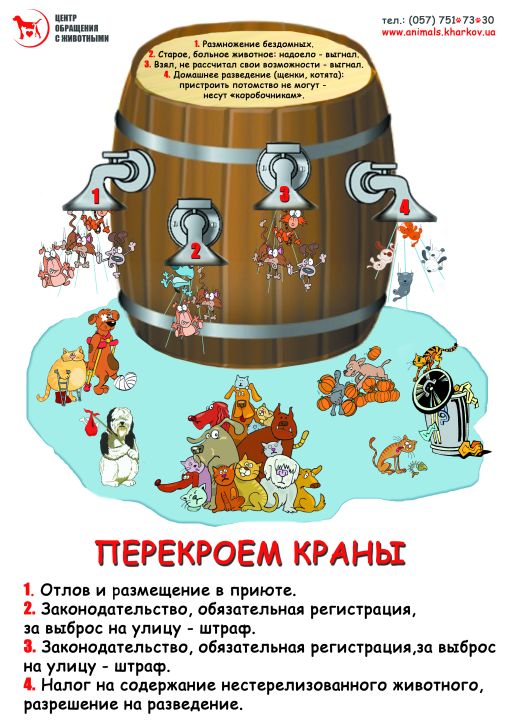 доброе отношение к животным