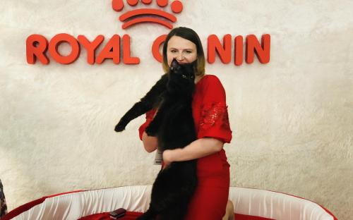 в книгу рекордов Украины внесли самого длинного кота