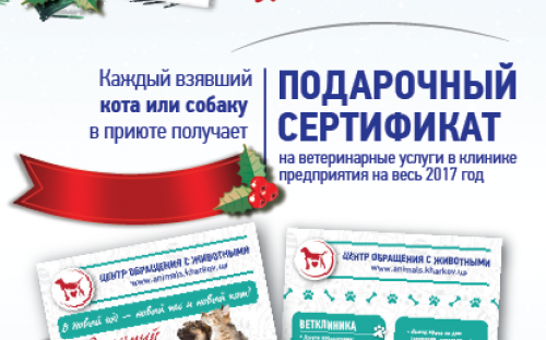 Акция в приюте для животных «В НОВЫЙ ГОД - НОВЫЙ ПЕС И НОВЫЙ КОТ!»