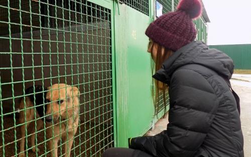 Провели День рождения в Центре обращения с животными.