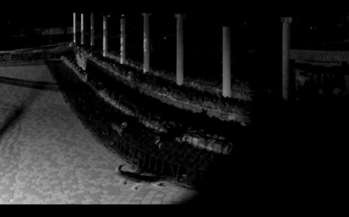 Cобаки проникли в зоопарк и загрызли животных