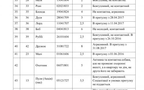 КП "Центр обращения с животными" - обращение к зоозащитным организациям г. Харькова