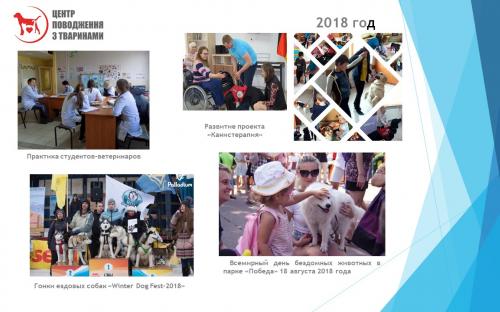 Отчет о результатах деятельности КП "Центр обращения с животными" за 2018 год