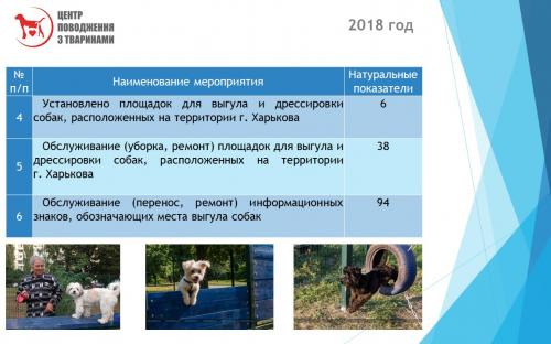 Отчет о результатах деятельности КП "Центр обращения с животными" за 2018 год