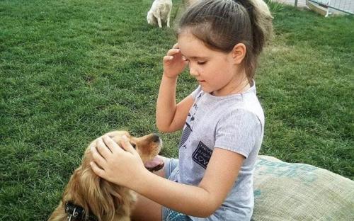 Собаки приюта КП "Центр обращения с животными" приняли участие в "Семейном вечере" Арт - завода "Механика"