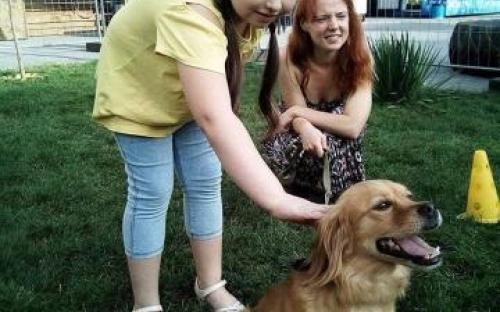 Собаки приюта КП "Центр обращения с животными" приняли участие в "Семейном вечере" Арт - завода "Механика"