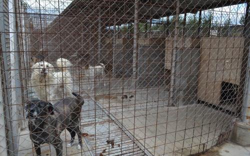 ОСВ в Болгарии: реальность бытия