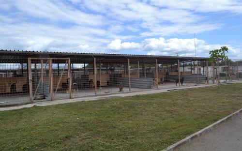 ОСВ в Болгарии: реальность бытия