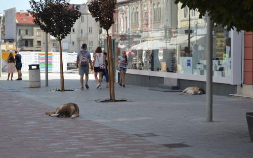 ОСВ в Болгарии: реальность бытия