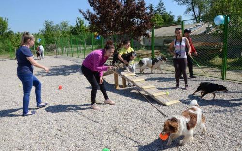 ОСВ в Болгарии: реальность бытия
