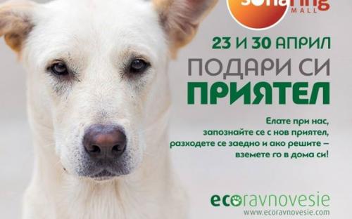 ОСВ в Болгарии: реальность бытия