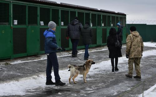 В Харьковском центре содержания бездомных животных состоялся праздничный День открытых дверей