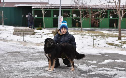 В Харьковском центре содержания бездомных животных состоялся праздничный День открытых дверей