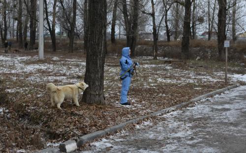 В Харьковском центре содержания бездомных животных состоялся праздничный День открытых дверей
