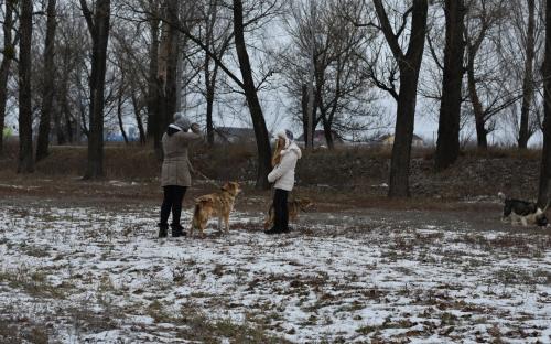 В Харьковском центре содержания бездомных животных состоялся праздничный День открытых дверей