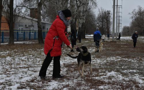 В Харьковском центре содержания бездомных животных состоялся праздничный День открытых дверей