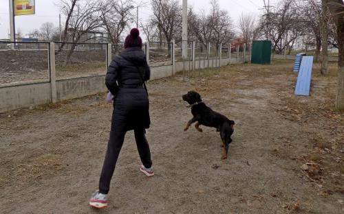 Провели День рождения в Центре обращения с животными.