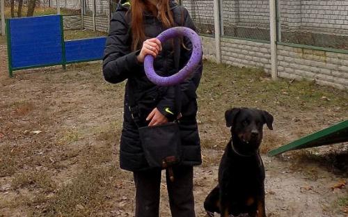 Провели День рождения в Центре обращения с животными.