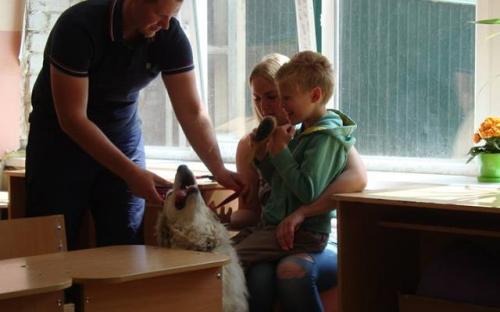 КАНИСТЕРАПИЯ В ХАРЬКОВЕ