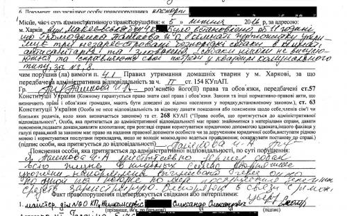 Бездействие исполнительной службы привело к гибели 5 животных и 2 годам мучений 10 семей общежития