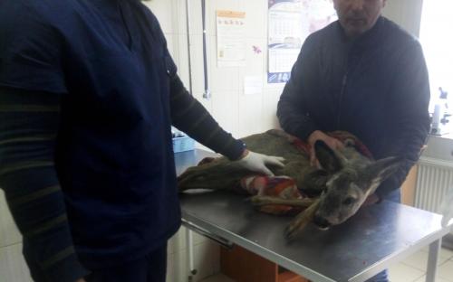 Необычный пациент