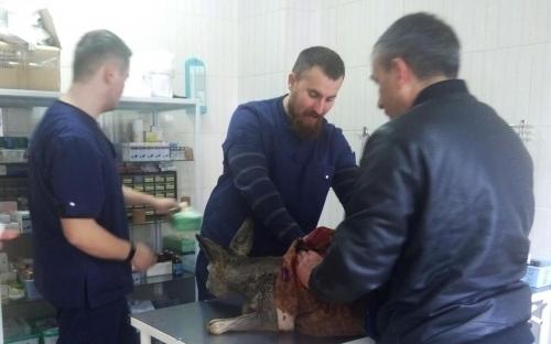 Необычный пациент