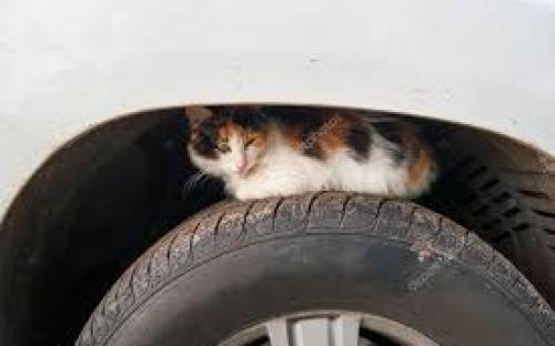 Уважаемые автомобилисты, будьте внимательны!