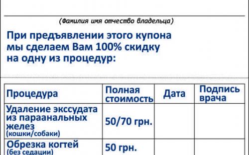 Акция "Ухоженный питомец" в Социальном ветцентре КП "Центр обращения с животными"