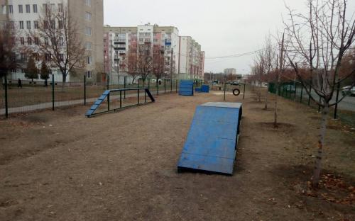 В Харькове стало еще больше оборудованных площадок для выгула и дрессировки собак