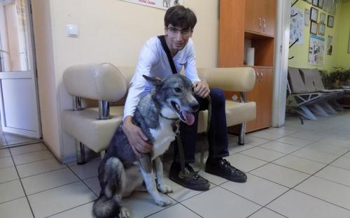 Статистика КП "Центр обращения с животными" количества пристроенных за летние месяцы животных