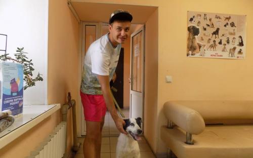 Статистика КП "Центр обращения с животными" количества пристроенных за летние месяцы животных