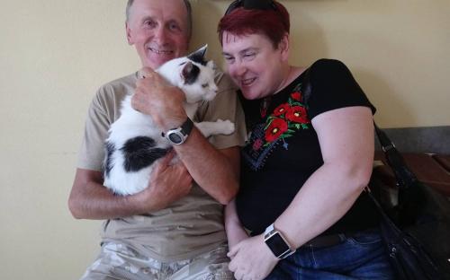 Статистика КП "Центр обращения с животными" количества пристроенных за летние месяцы животных