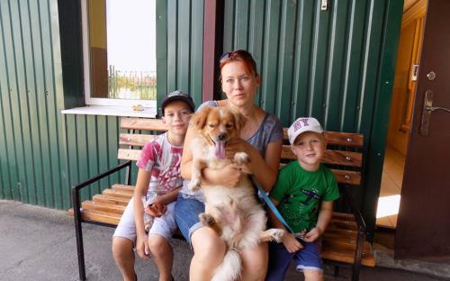 Статистика КП "Центр обращения с животными" количества пристроенных за летние месяцы животных