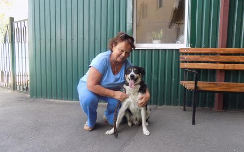 Статистика КП "Центр обращения с животными" количества пристроенных за летние месяцы животных